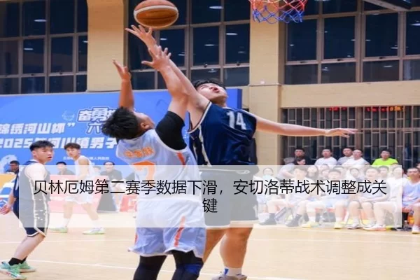 bei-lin-e-mu-di-er-sai-ji-shu-ju-xia-hua-an-qie-luo-di-zhan-shu-tiao-zheng-cheng-guan-jian-3-750.jpg