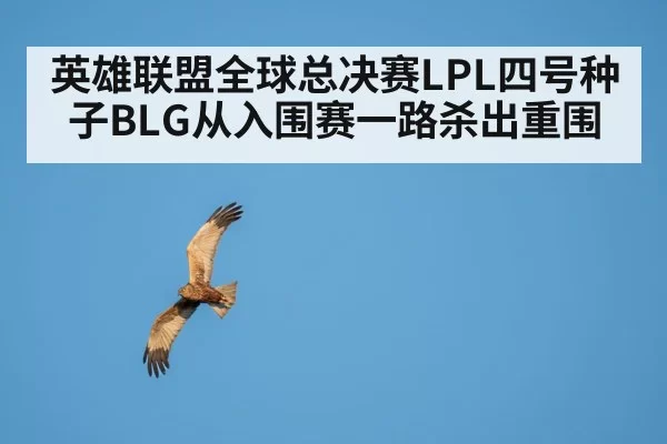 BLG mid jungle synergy