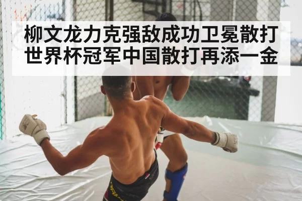 柳文龙力克强敌成功卫冕散打世界杯冠军中国散打再添一金